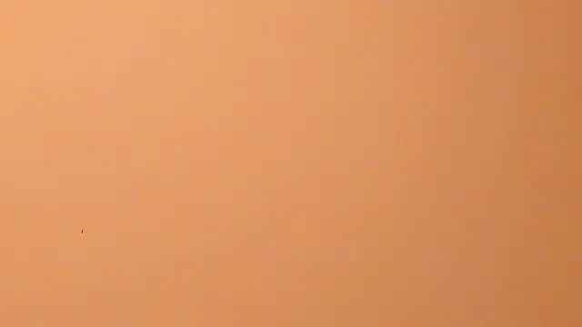 b3cky_ 라이브 XXX 채팅