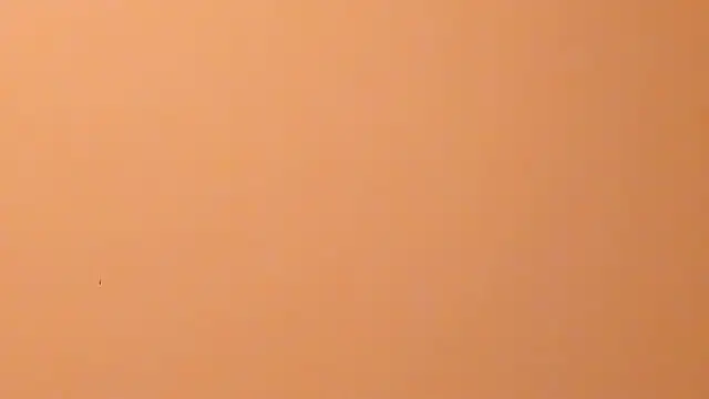 Chat XXX en directo de b3cky_