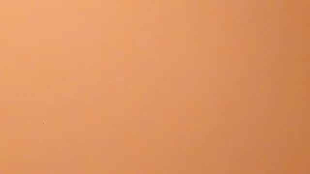 b3cky_'s Live XXX Chat