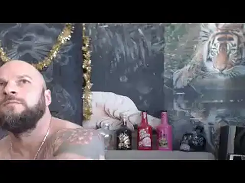 Show webcam de viking_30