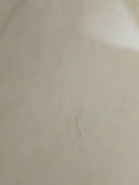 enoc369n Webbikameraesitys