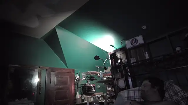 charactrzero Show in webcam