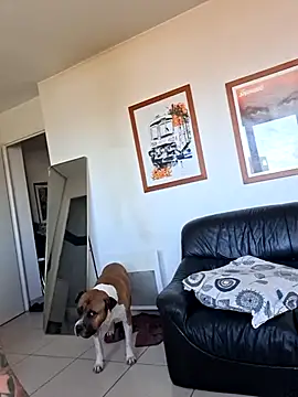 Mr_Graffitimile 라이브 XXX 채팅