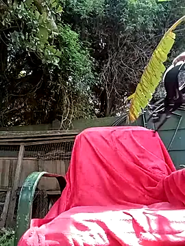 DarkQueen_94: διαδικτυακό σόου στην κάμερα