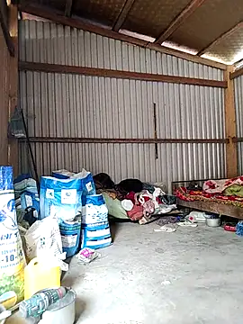 Cute-flowers Live XXX-Chat