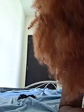 Kamdollie Chat XXX in diretta