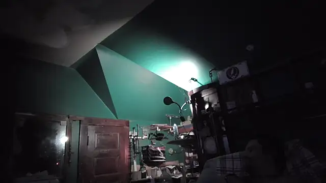 Вебкам-шоу charactrzero