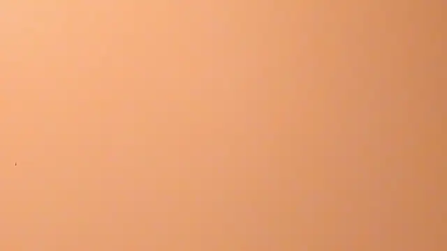 Chat XXX en directo de b3cky_