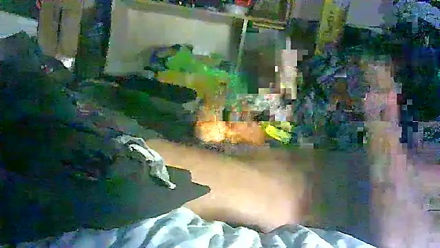 GUAPAN3S3_FIR3's Live XXX Chat