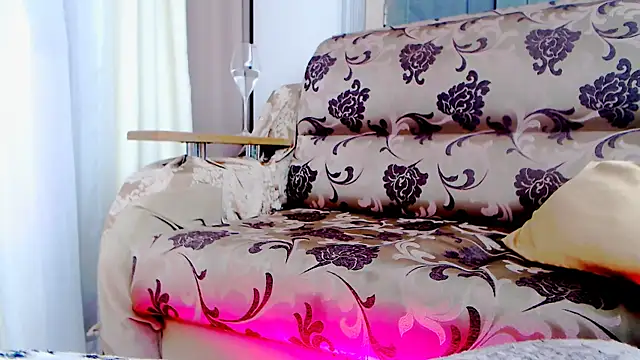 Show modela Live_View na web-kameri