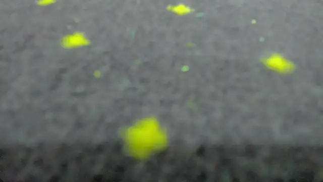 AishaRouhi's Live XXX Chat