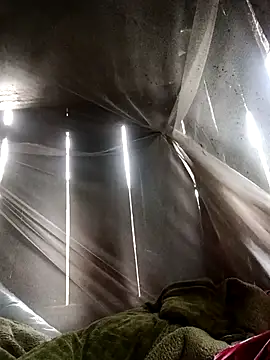 Tina6886's Webcam Show