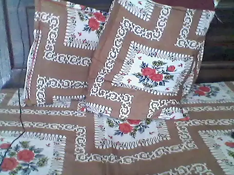 Delhi_Gurugram_Real_Meet Webcam-Show