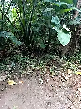 holygrail001 Show Webcam