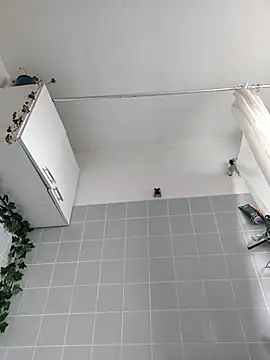 Toyjungee Webcam-Show