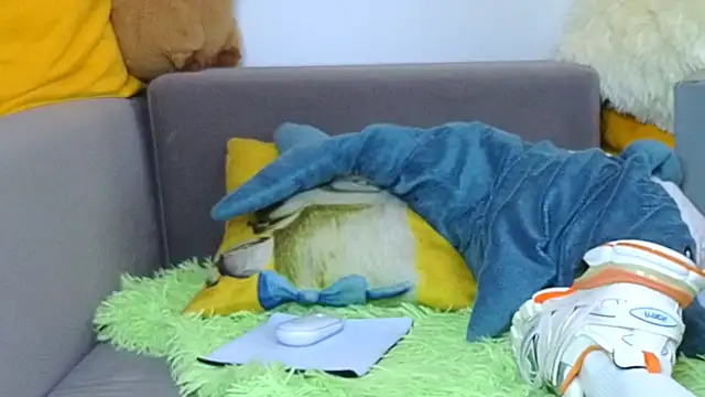 LandelRay Webcam-Show