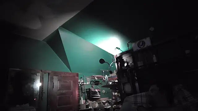 charactrzero: διαδικτυακό σόου στην κάμερα