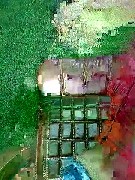 CUTI-NAINA 现场XXX聊天