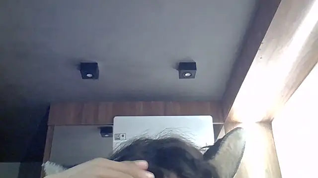 Živý XXX chat SkinnyKitten