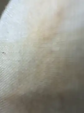 Show modela twankletoes1234 na web-kameri