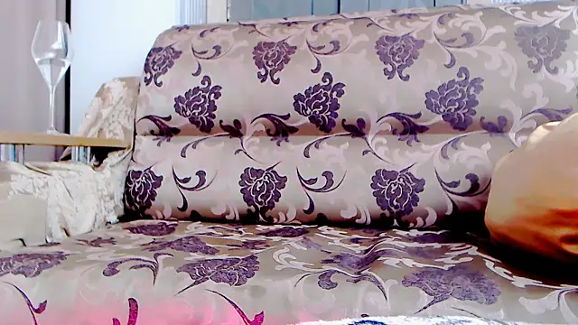 Show Webcam de Live_View