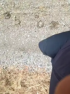 Amatsontrans Pertunjukan Webcam