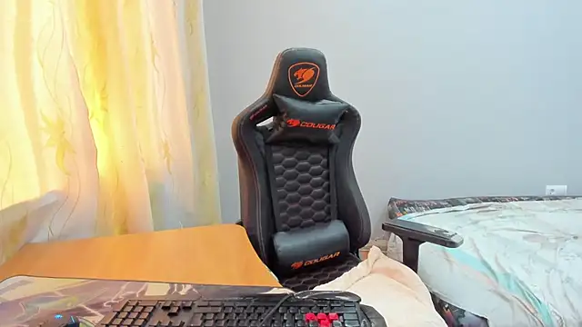 iliaskrisloven Webbikameraesitys