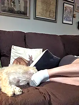 Icebearsticlese 라이브 XXX 채팅