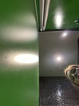 Mary_Sensory's Live XXX Chat