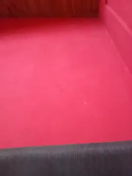 Webkamerová show mizae