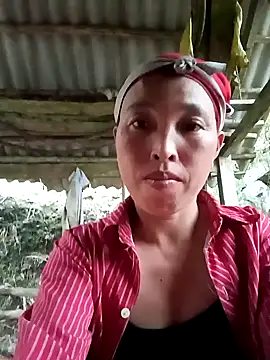 NIANIAKUTE Pertunjukan Webcam