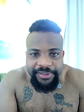 BigCatXLOfficial 라이브 XXX 채팅