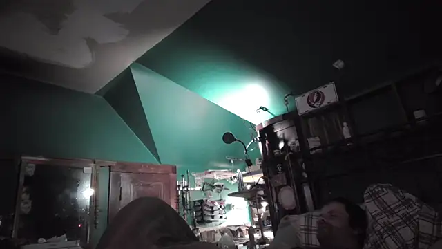 Show webcam de charactrzero