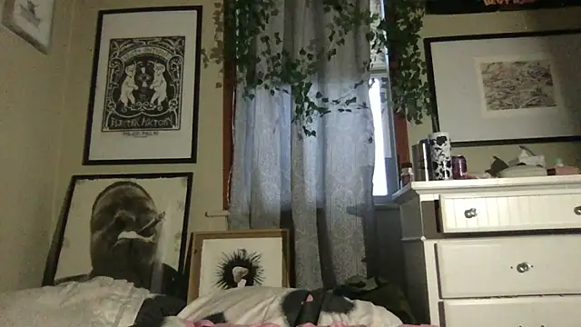 Chat +18 de Girlnextdoor242 ao vivo