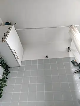 Toyjungee: διαδικτυακό σόου στην κάμερα