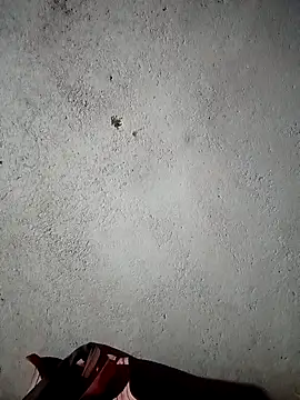 kalara_kail 라이브 XXX 채팅