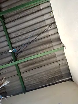 sabrinaneves Chat XXX live