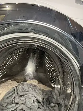 Онлайн чат XXX MaryMe__