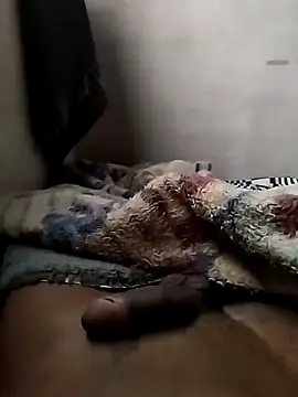 poke90201 Webcam show