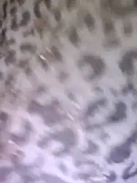 Chat XXX en directo de Ruhi_07