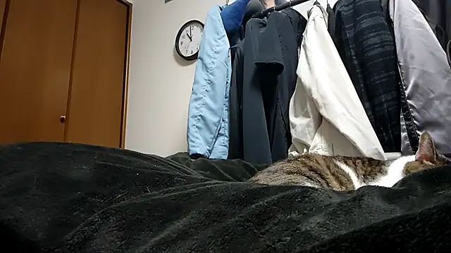 07YUKIOのライブXXXチャット