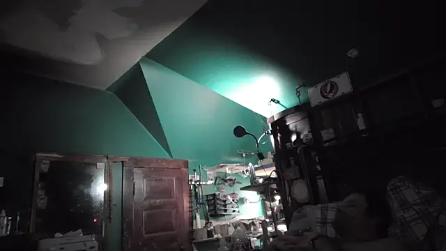 charactrzero Webcamshow