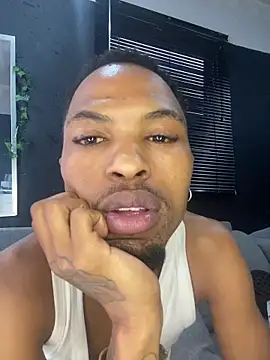 BlueIceCube 웹캠 쇼