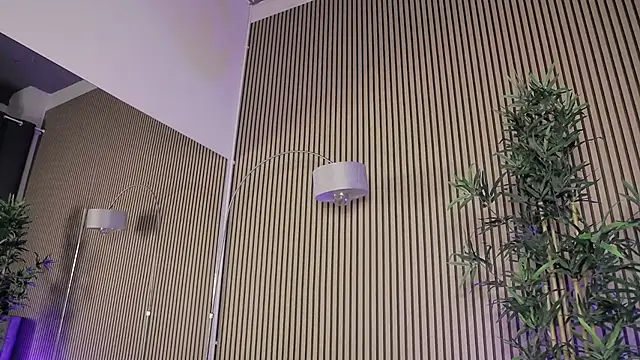 Chatroom XXX en direct de AmisRayy