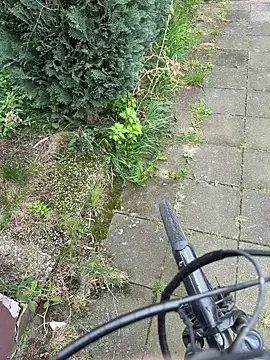 Онлайн чат XXX SoftAmjad