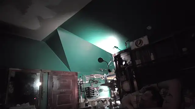 charactrzero 即時 XXX 聊天