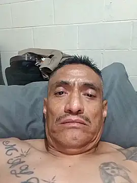 Innsaciable Show Webcam