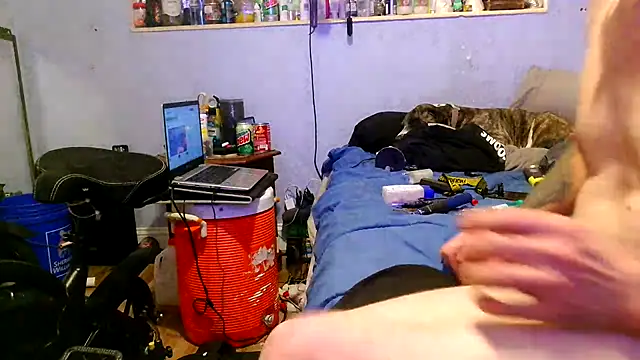 PornStro921 Chat XXX in diretta