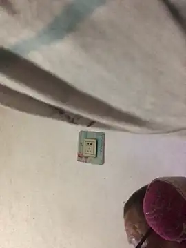 yaocaobi8 웹캠 쇼