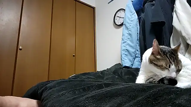 07YUKIOのウェブカメラショー